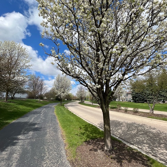 Meet your Posher, Kelly - Picture 1 of 1